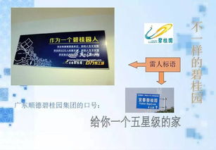 碧桂園的公關策劃 以匠心筑家，以真誠溝通